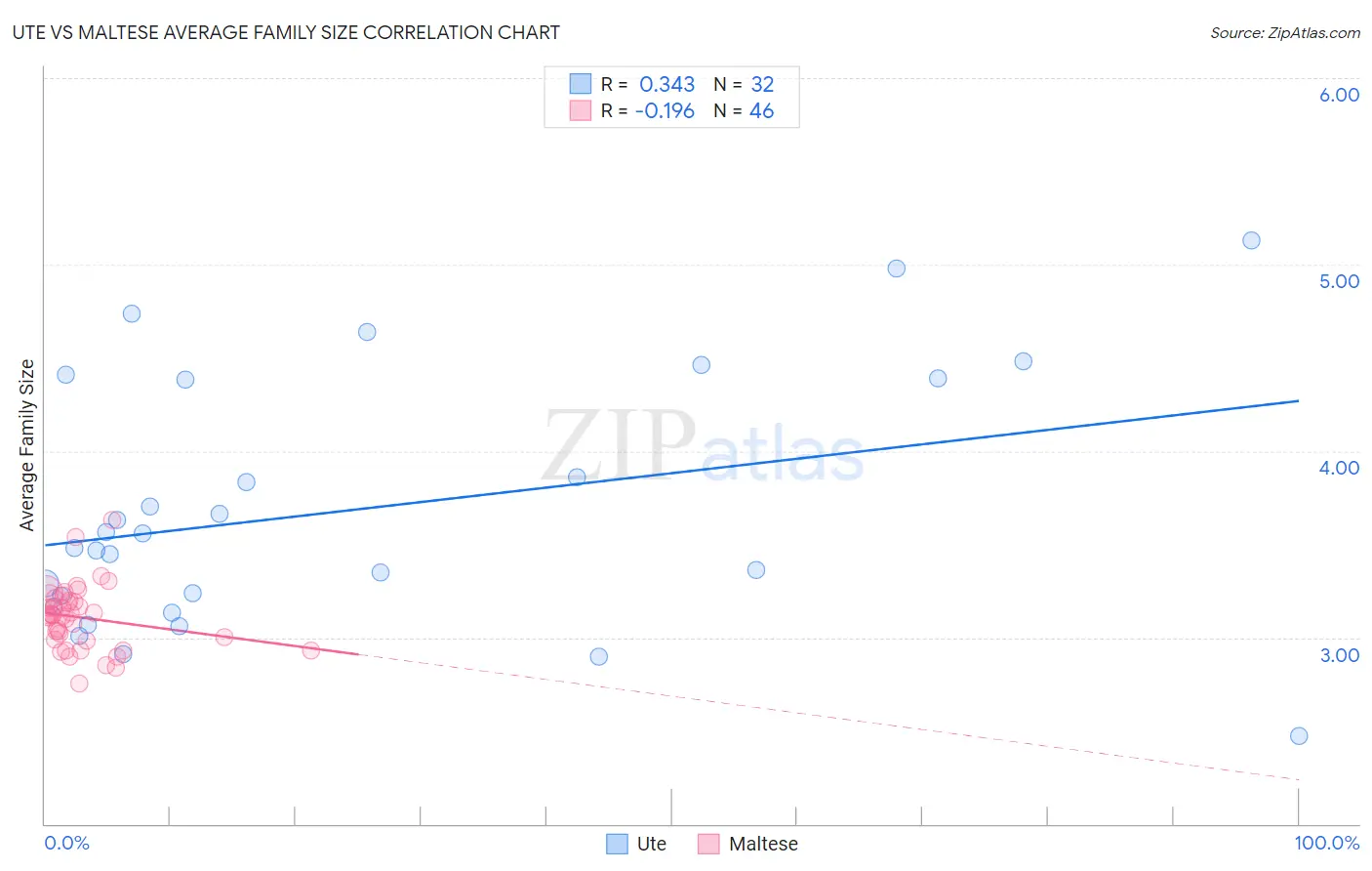 Ute vs Maltese Average Family Size