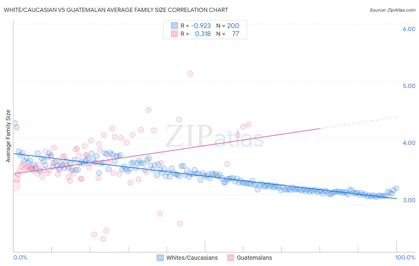 White/Caucasian vs Guatemalan Average Family Size