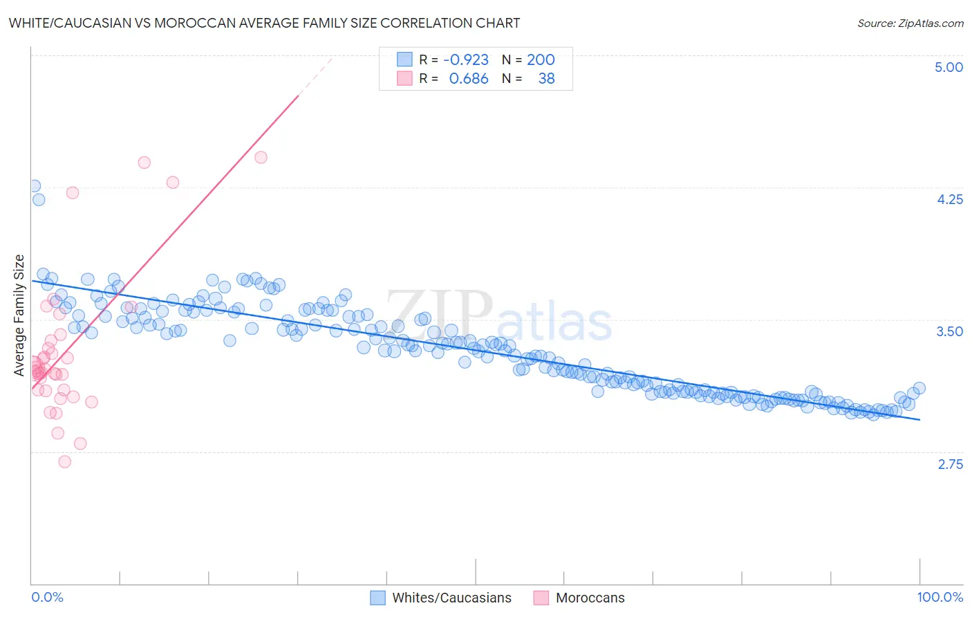 White/Caucasian vs Moroccan Average Family Size
