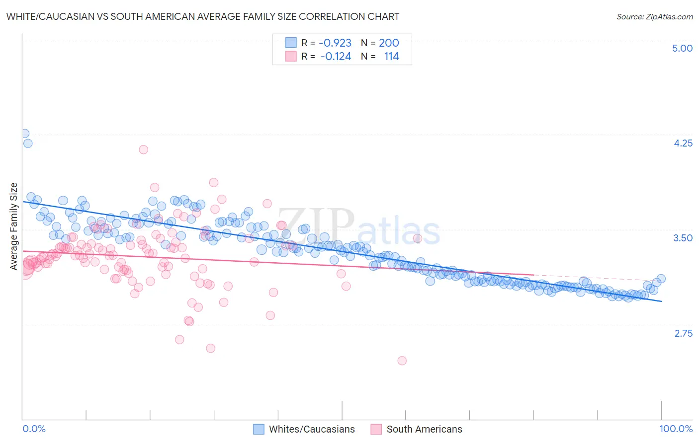 White/Caucasian vs South American Average Family Size