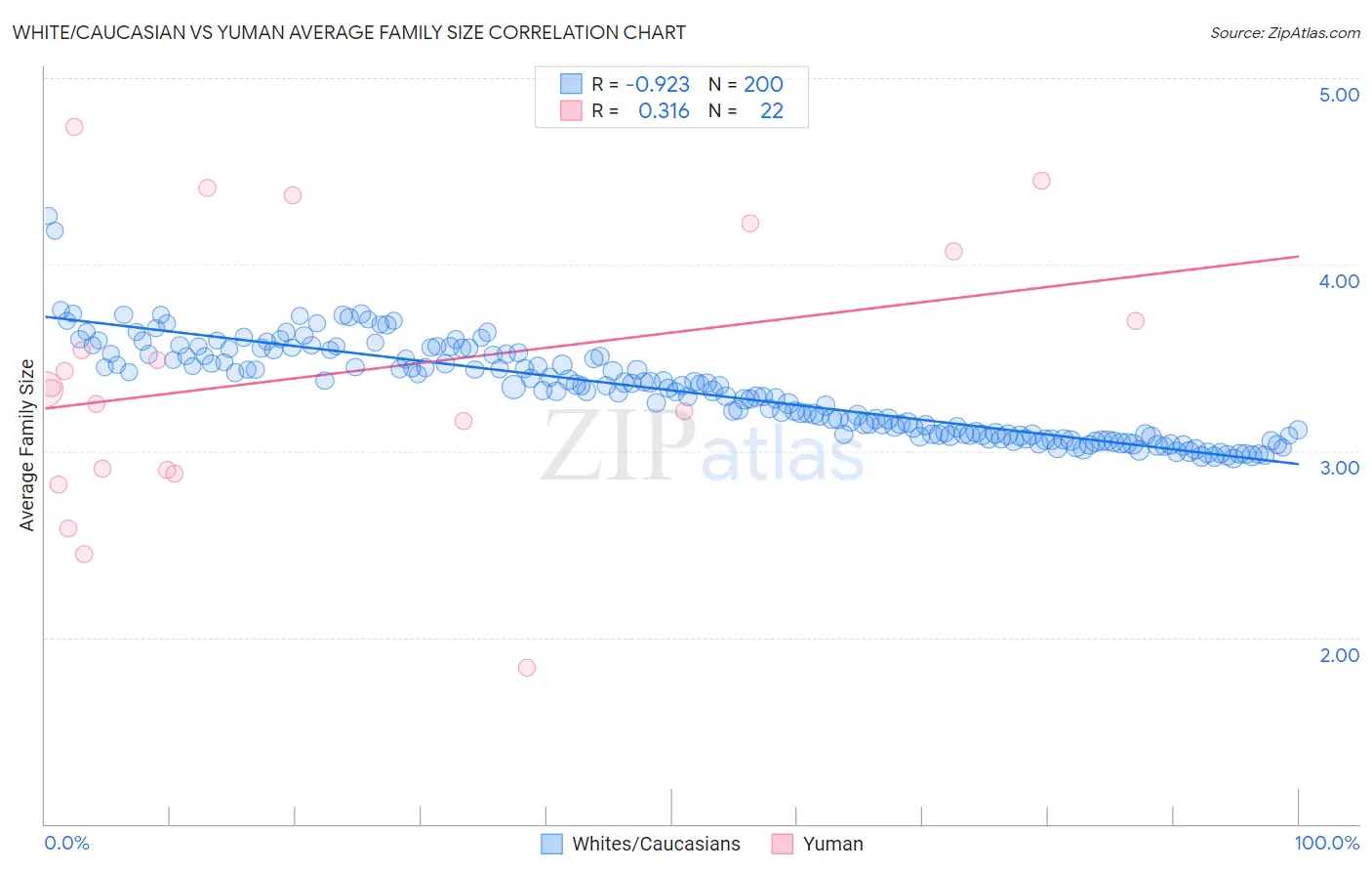 White/Caucasian vs Yuman Average Family Size