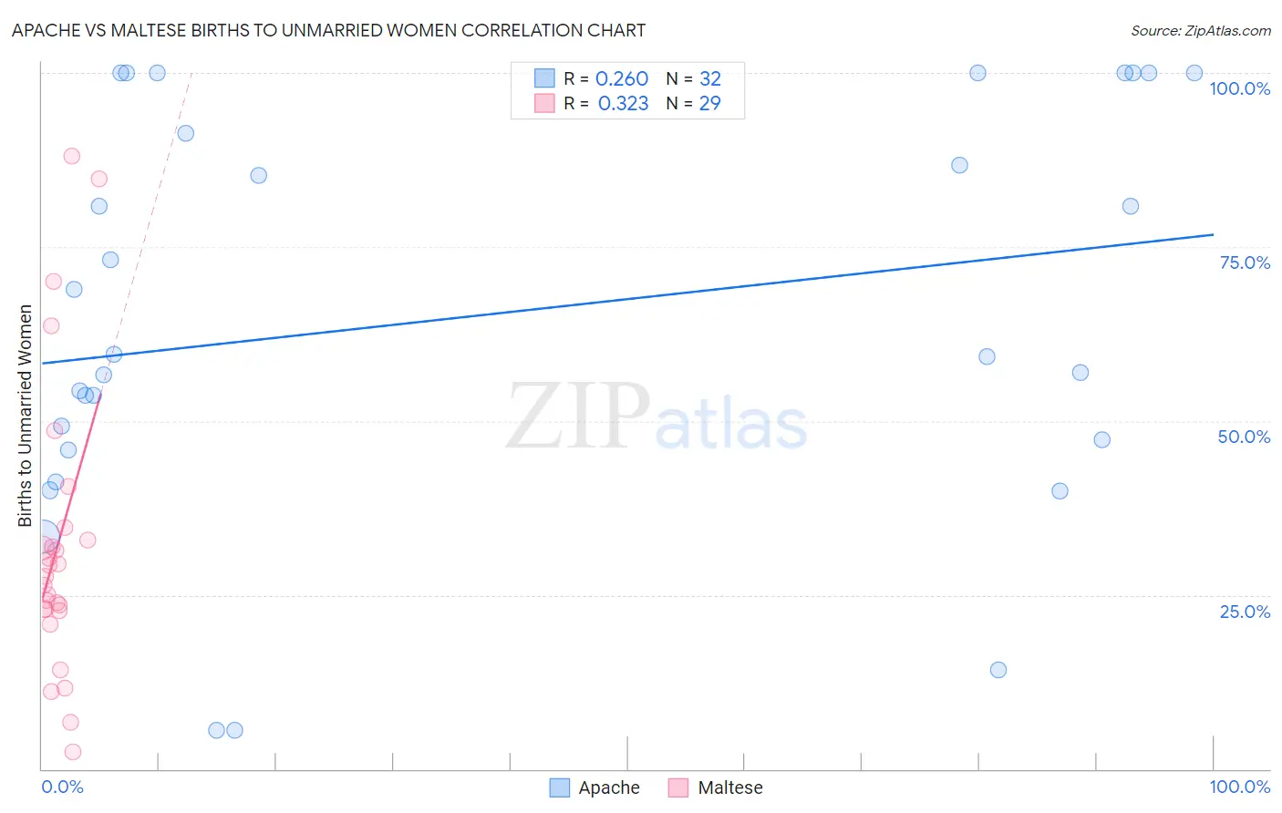 Apache vs Maltese Births to Unmarried Women