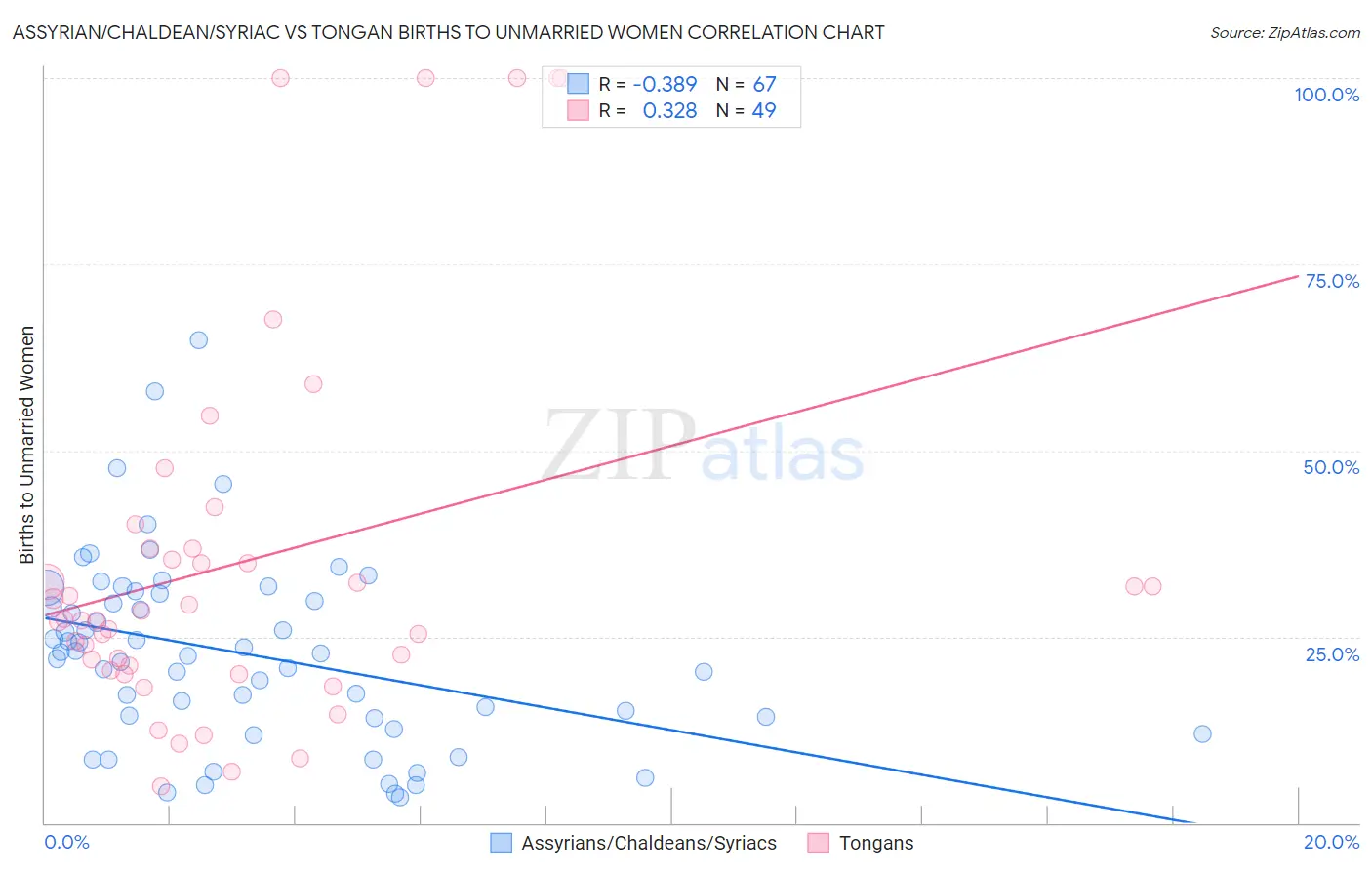 Assyrian/Chaldean/Syriac vs Tongan Births to Unmarried Women