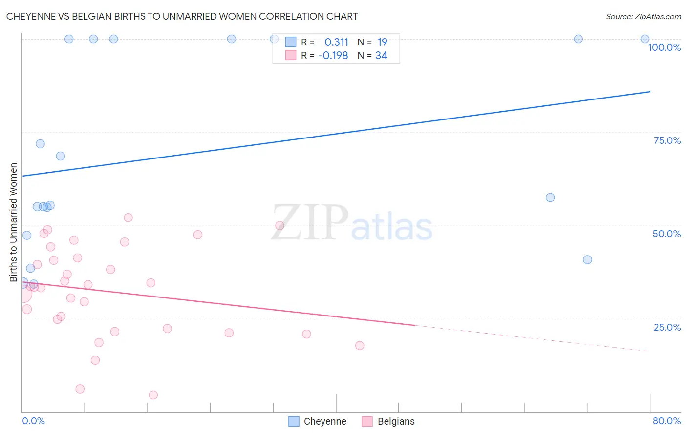 Cheyenne vs Belgian Births to Unmarried Women