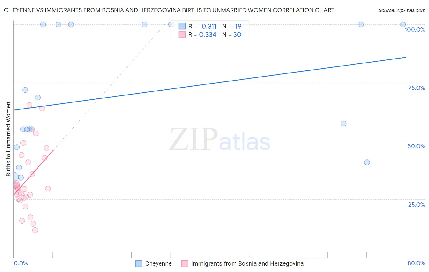 Cheyenne vs Immigrants from Bosnia and Herzegovina Births to Unmarried Women