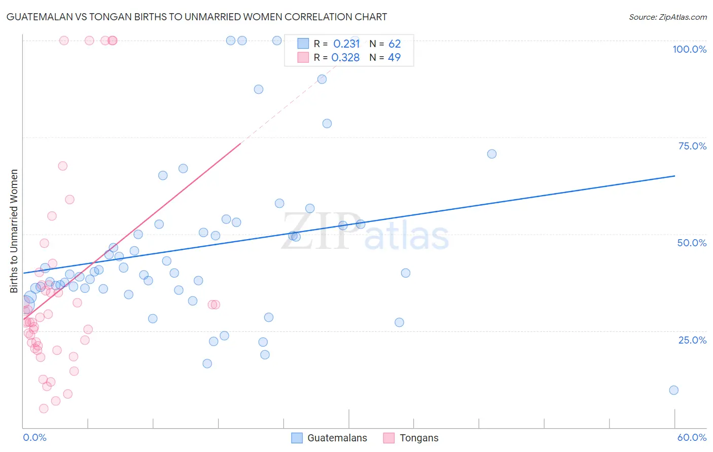 Guatemalan vs Tongan Births to Unmarried Women