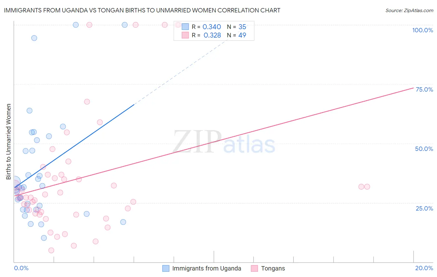 Immigrants from Uganda vs Tongan Births to Unmarried Women