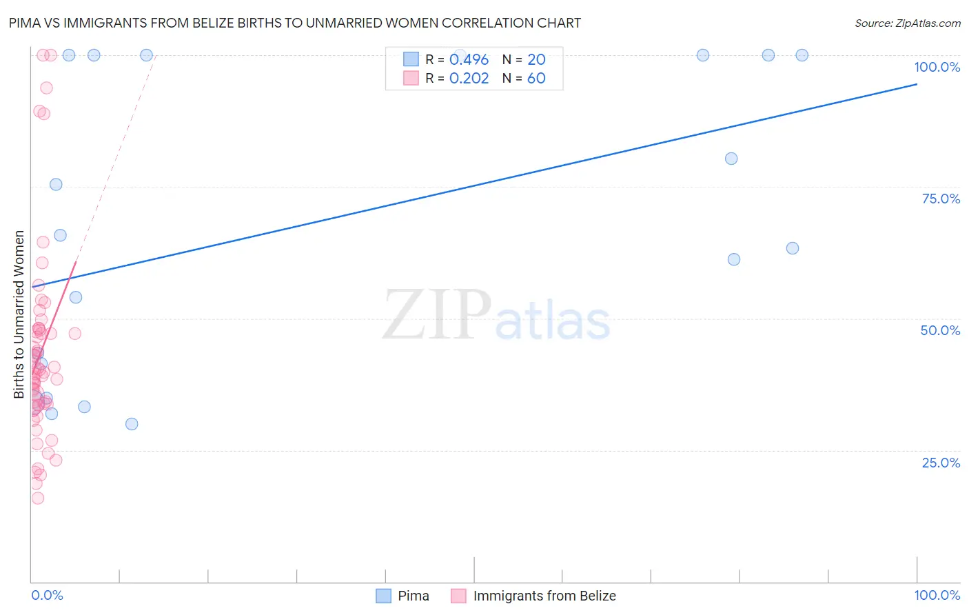 Pima vs Immigrants from Belize Births to Unmarried Women