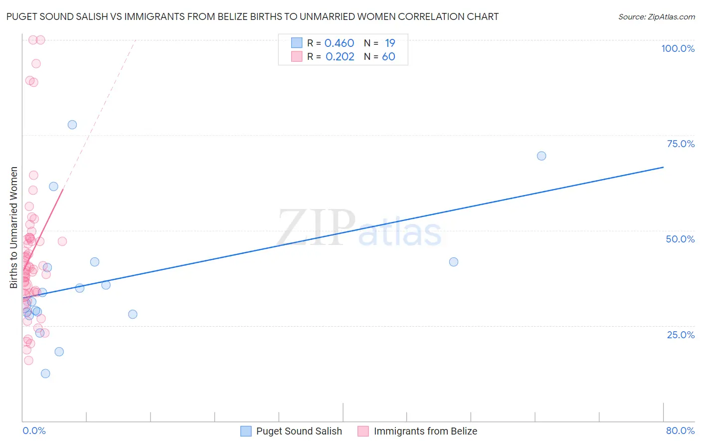 Puget Sound Salish vs Immigrants from Belize Births to Unmarried Women