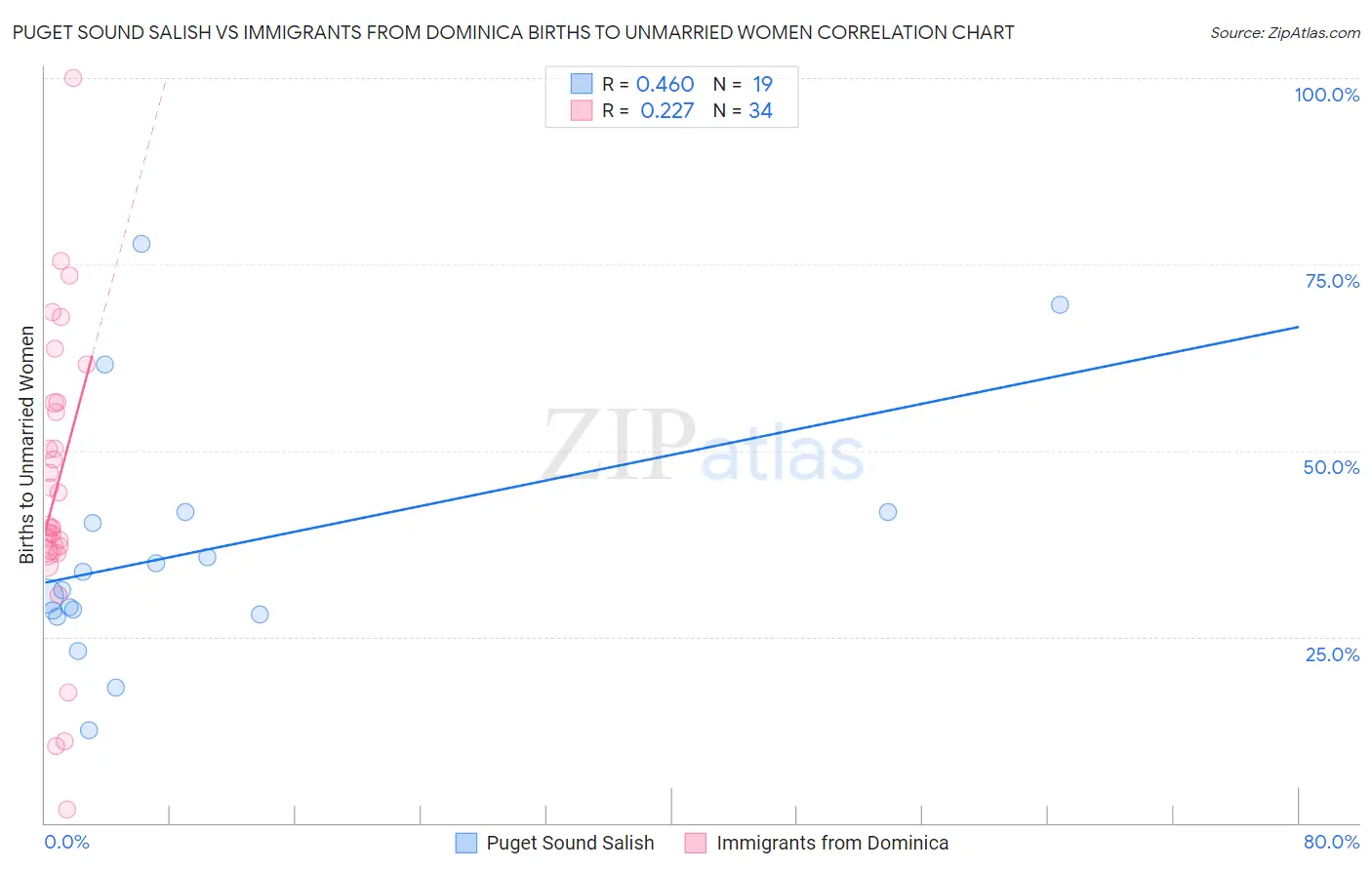 Puget Sound Salish vs Immigrants from Dominica Births to Unmarried Women