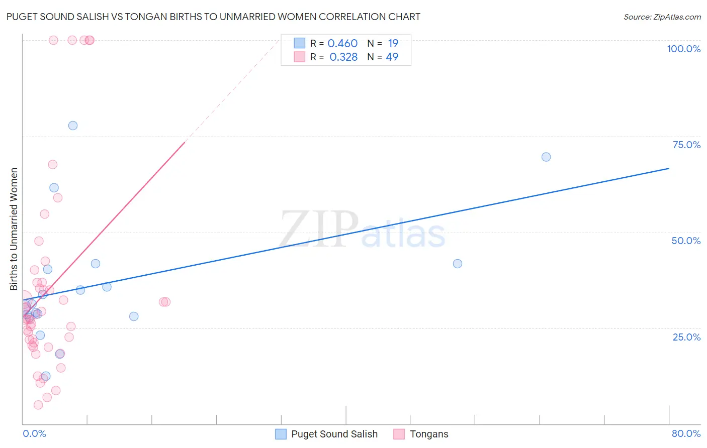Puget Sound Salish vs Tongan Births to Unmarried Women