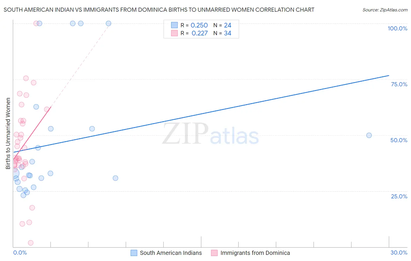 South American Indian vs Immigrants from Dominica Births to Unmarried Women
