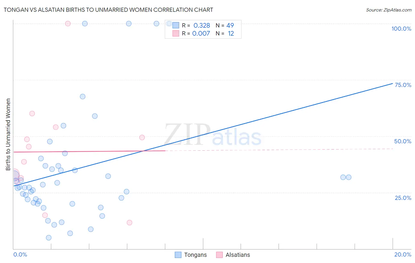 Tongan vs Alsatian Births to Unmarried Women