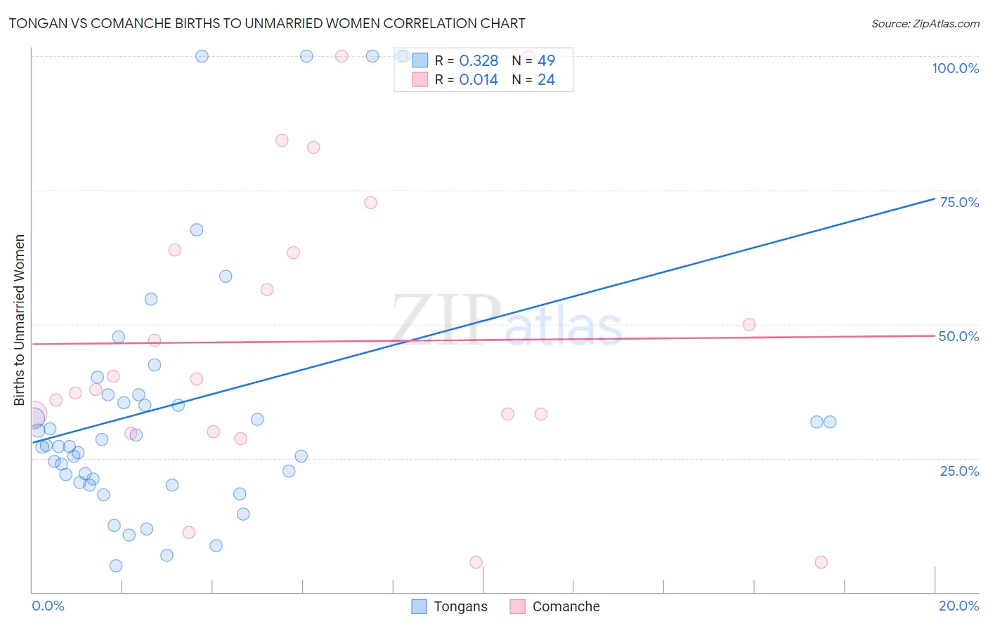 Tongan vs Comanche Births to Unmarried Women