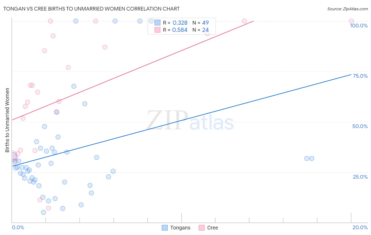 Tongan vs Cree Births to Unmarried Women