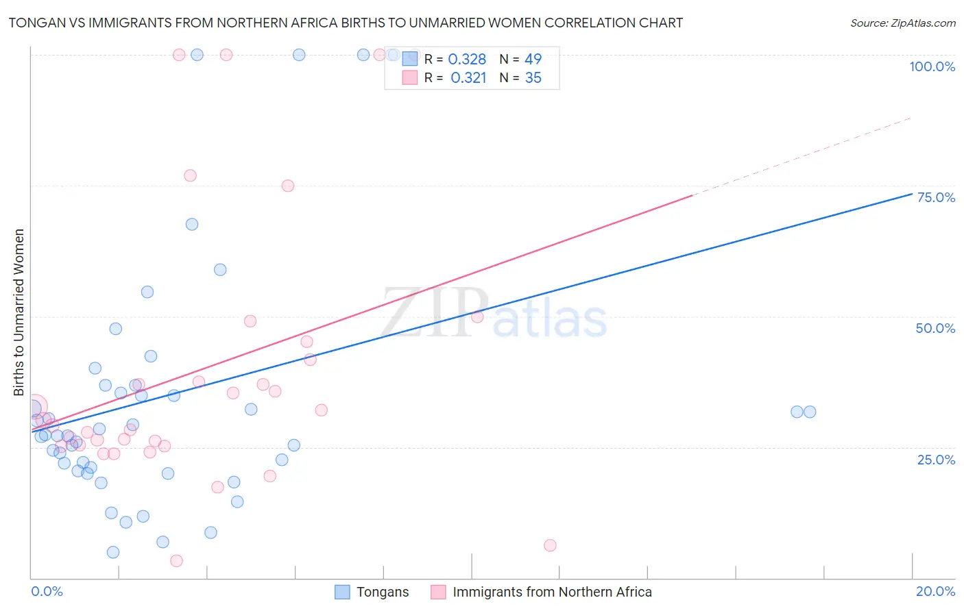 Tongan vs Immigrants from Northern Africa Births to Unmarried Women