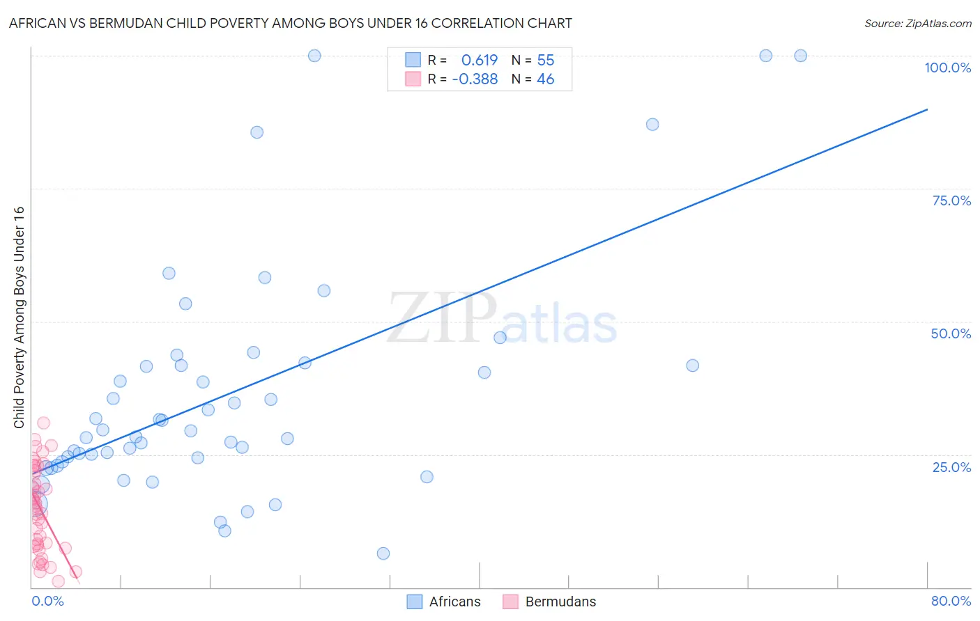African vs Bermudan Child Poverty Among Boys Under 16