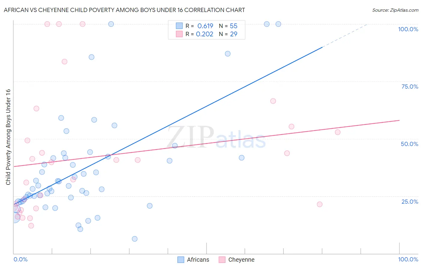 African vs Cheyenne Child Poverty Among Boys Under 16