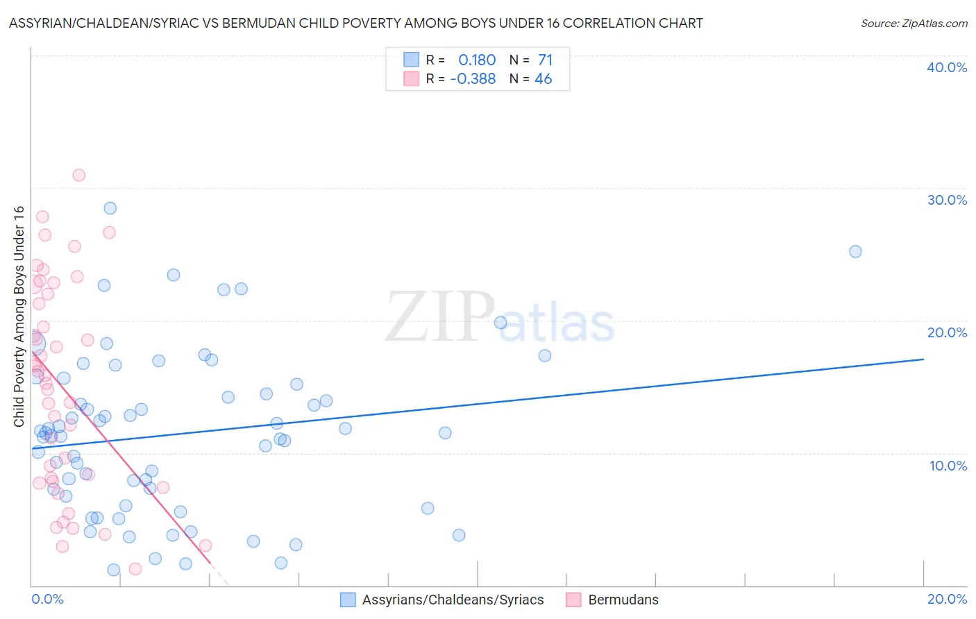 Assyrian/Chaldean/Syriac vs Bermudan Child Poverty Among Boys Under 16