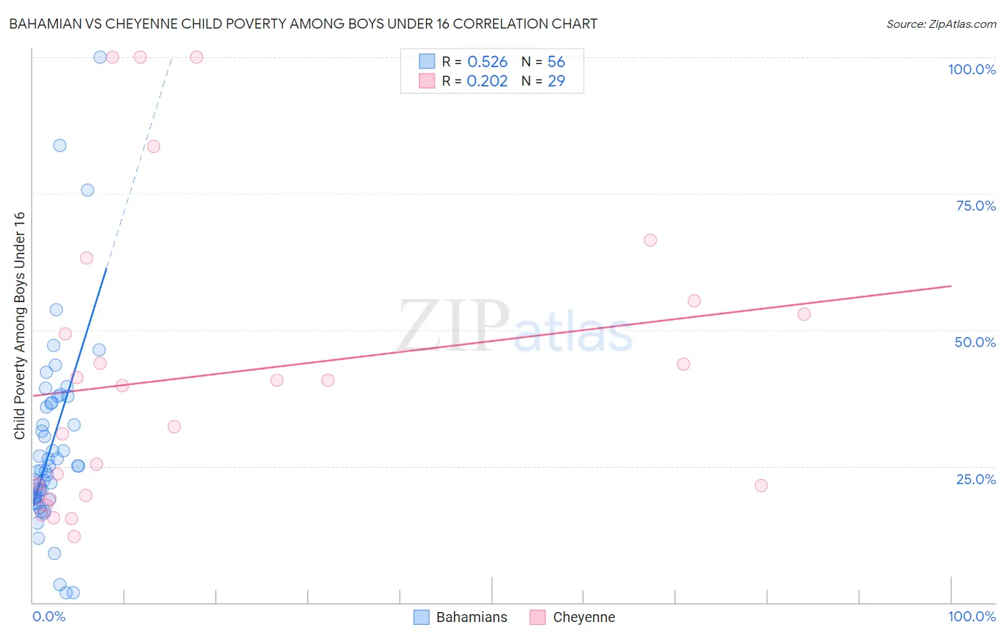 Bahamian vs Cheyenne Child Poverty Among Boys Under 16