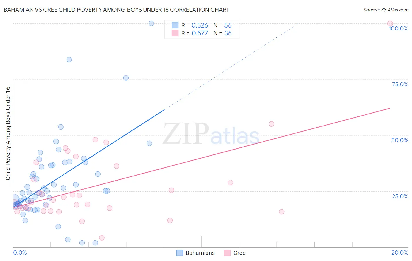 Bahamian vs Cree Child Poverty Among Boys Under 16