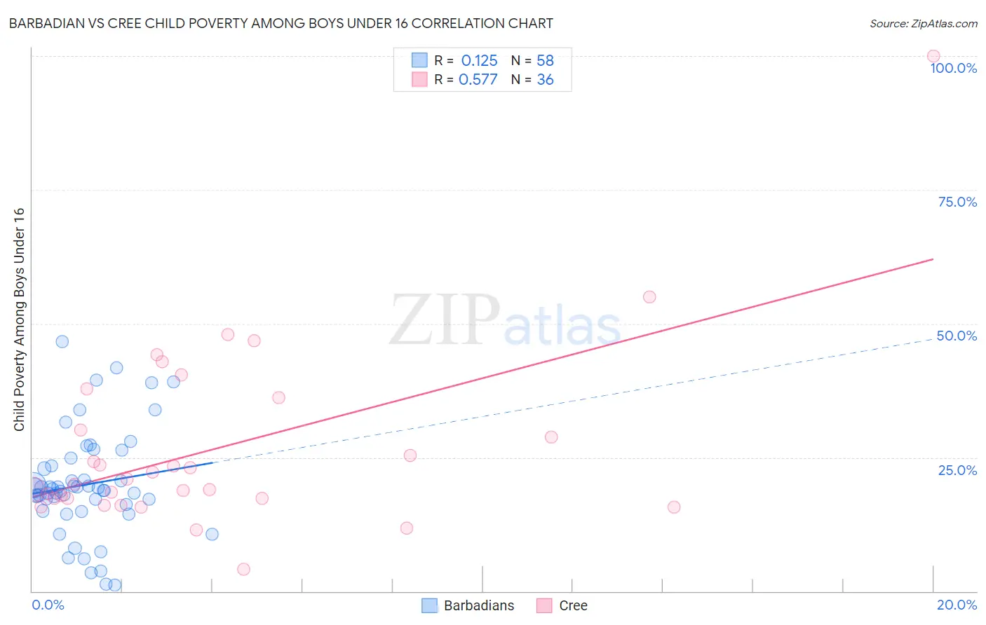 Barbadian vs Cree Child Poverty Among Boys Under 16