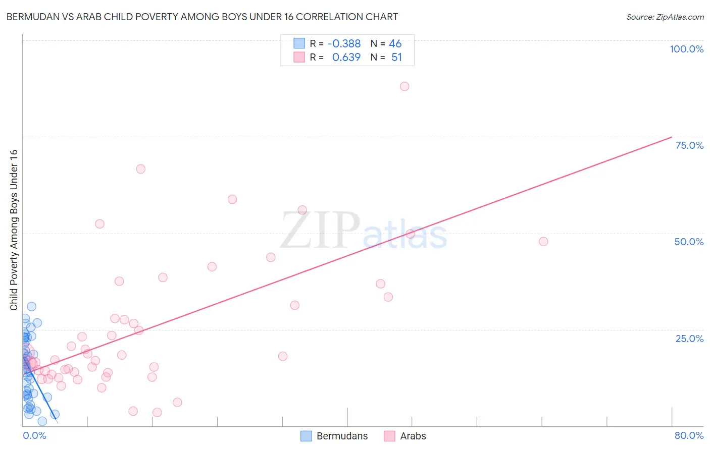 Bermudan vs Arab Child Poverty Among Boys Under 16