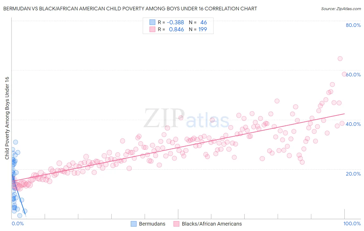 Bermudan vs Black/African American Child Poverty Among Boys Under 16