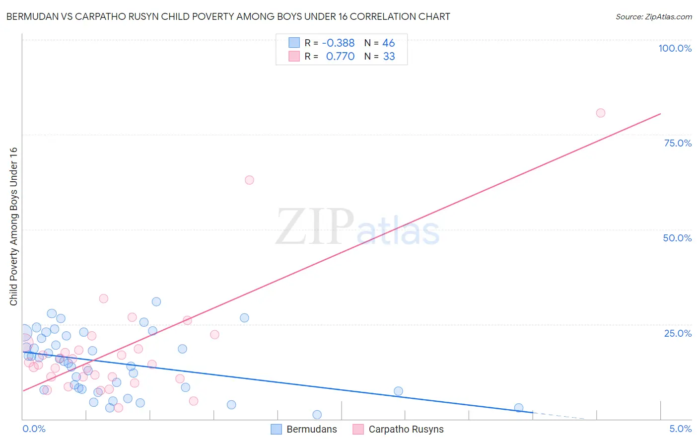 Bermudan vs Carpatho Rusyn Child Poverty Among Boys Under 16