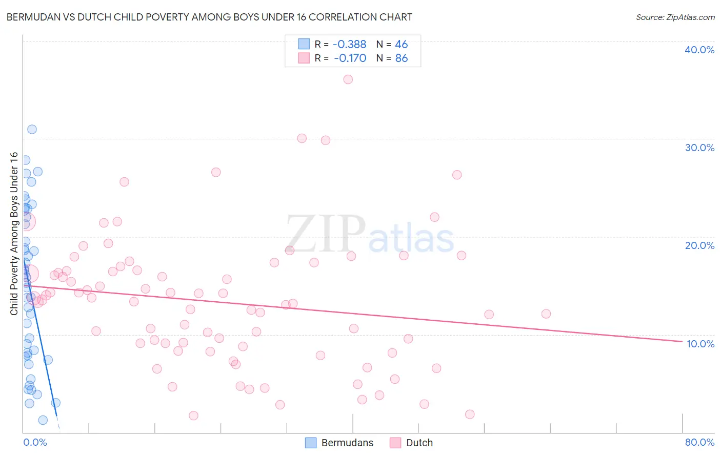 Bermudan vs Dutch Child Poverty Among Boys Under 16