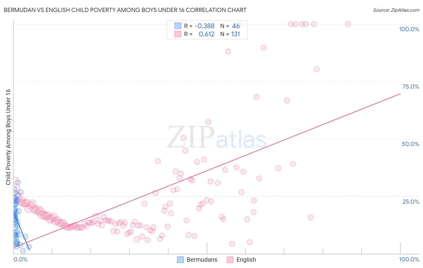 Bermudan vs English Child Poverty Among Boys Under 16