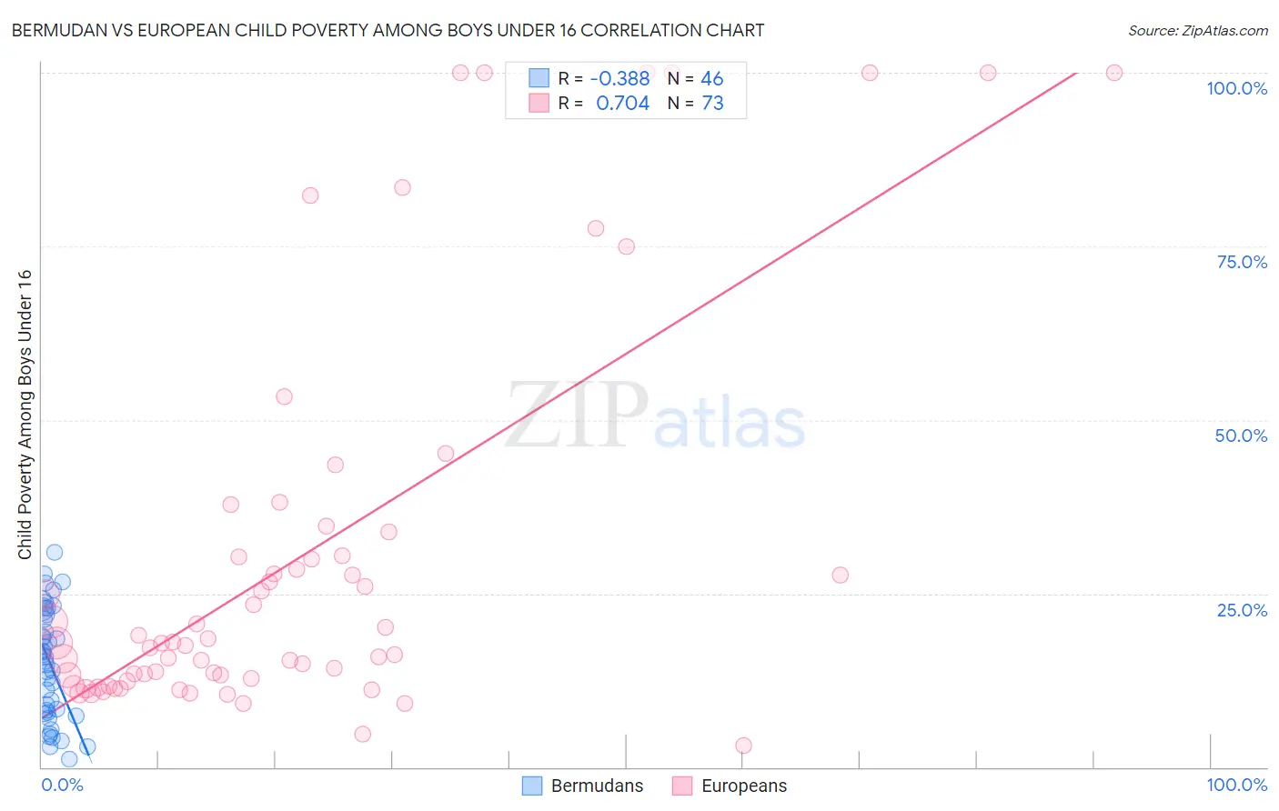 Bermudan vs European Child Poverty Among Boys Under 16