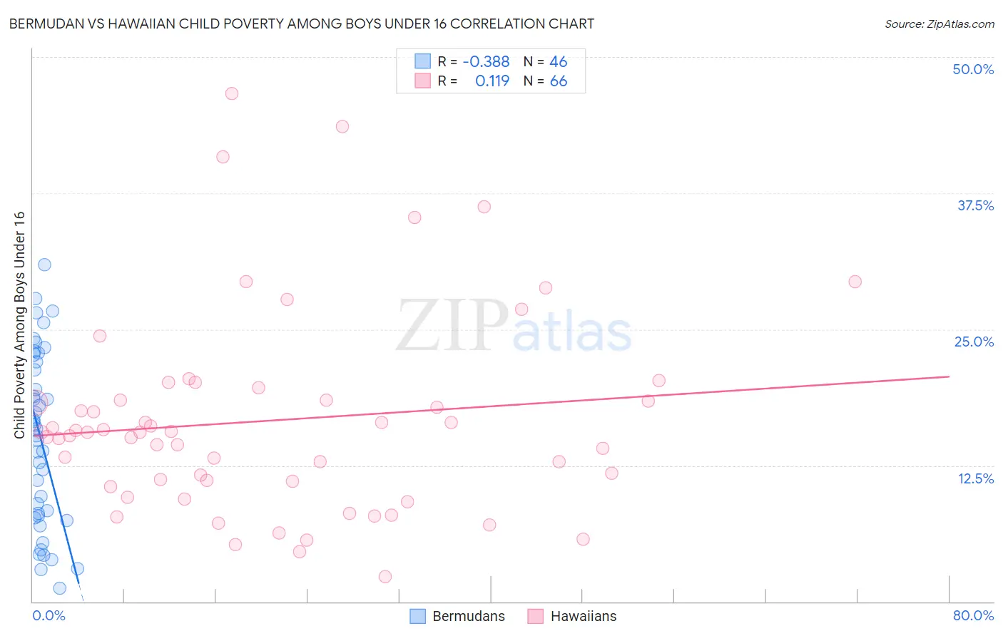 Bermudan vs Hawaiian Child Poverty Among Boys Under 16