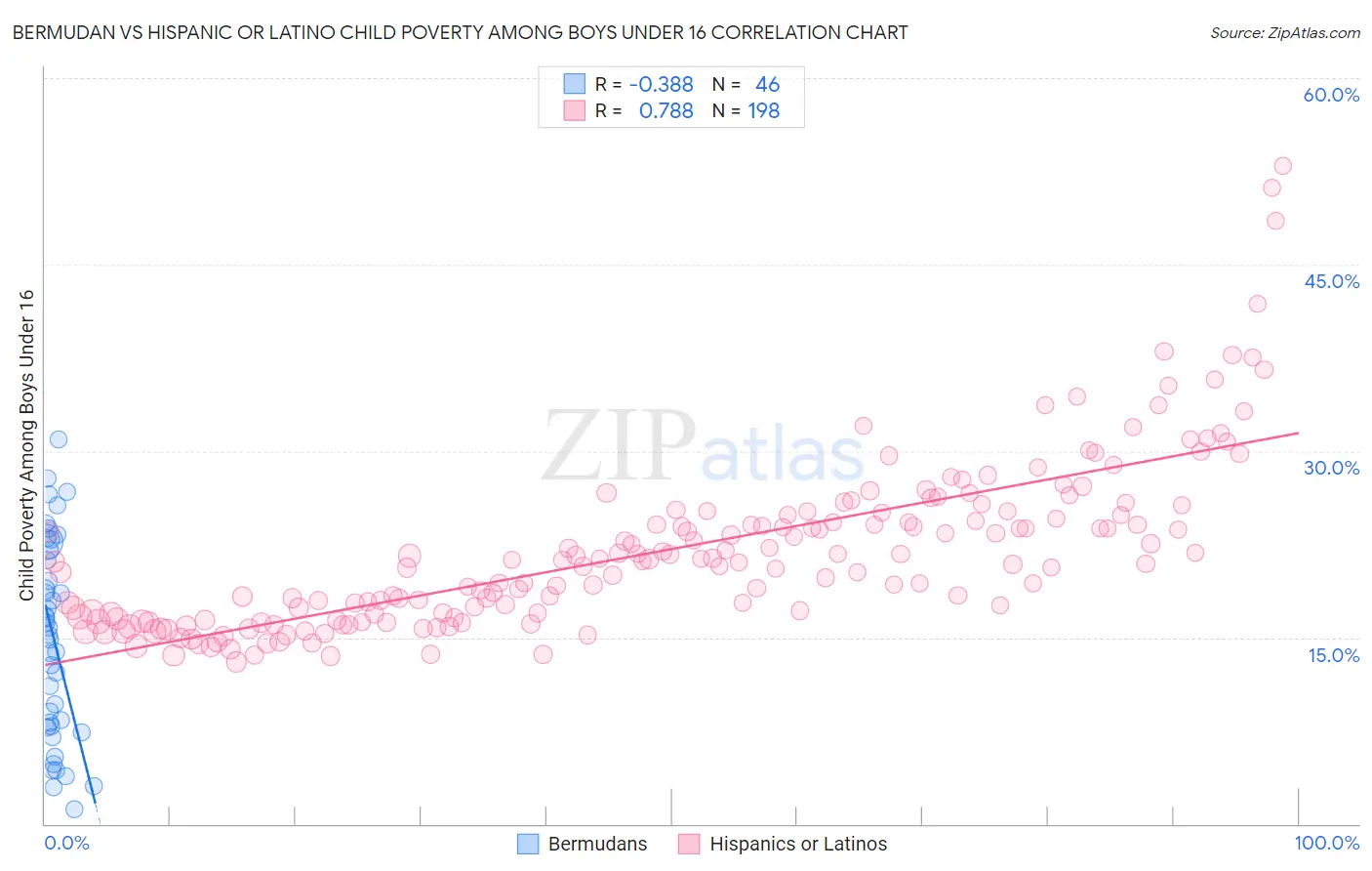 Bermudan vs Hispanic or Latino Child Poverty Among Boys Under 16