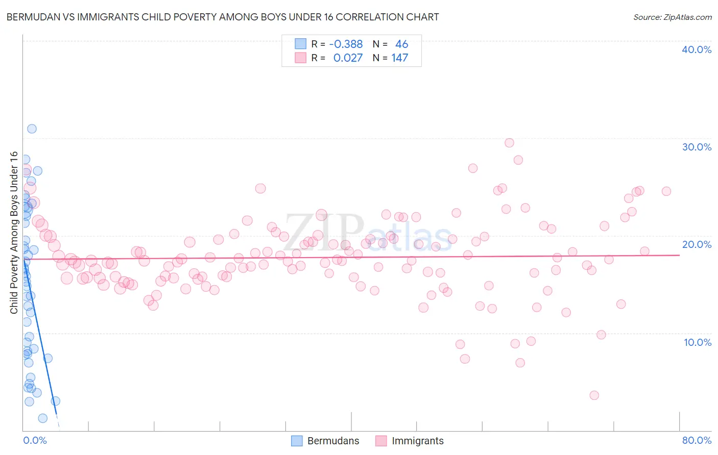 Bermudan vs Immigrants Child Poverty Among Boys Under 16