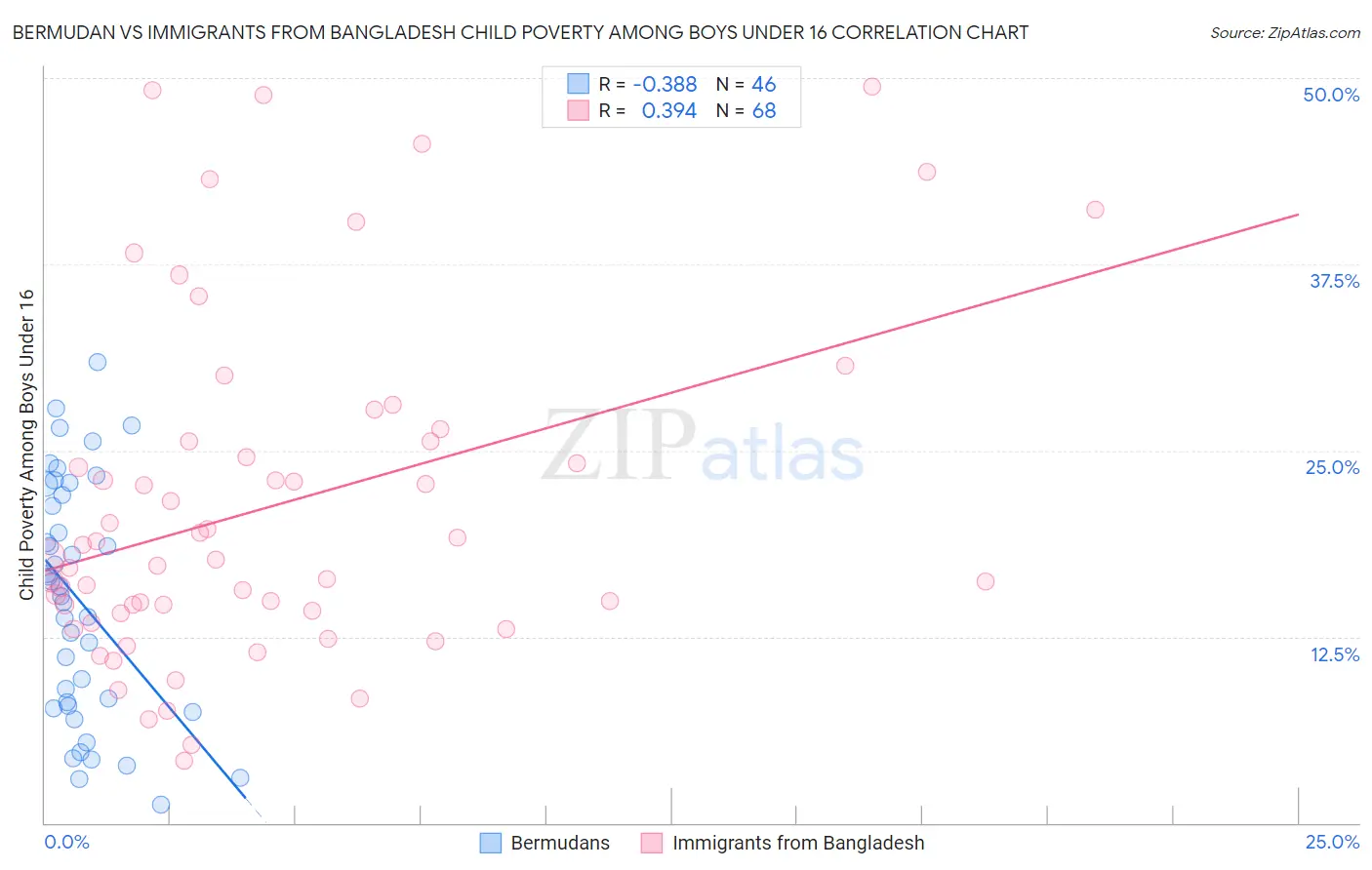 Bermudan vs Immigrants from Bangladesh Child Poverty Among Boys Under 16