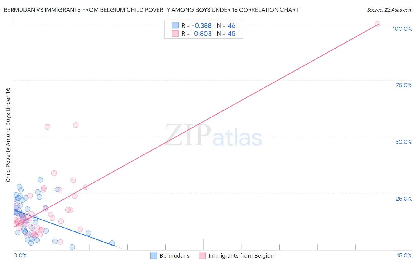Bermudan vs Immigrants from Belgium Child Poverty Among Boys Under 16