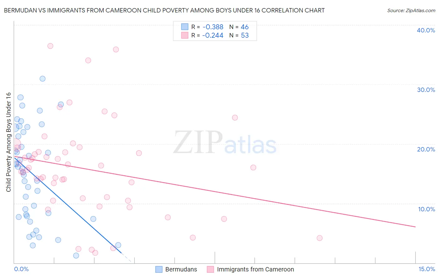 Bermudan vs Immigrants from Cameroon Child Poverty Among Boys Under 16
