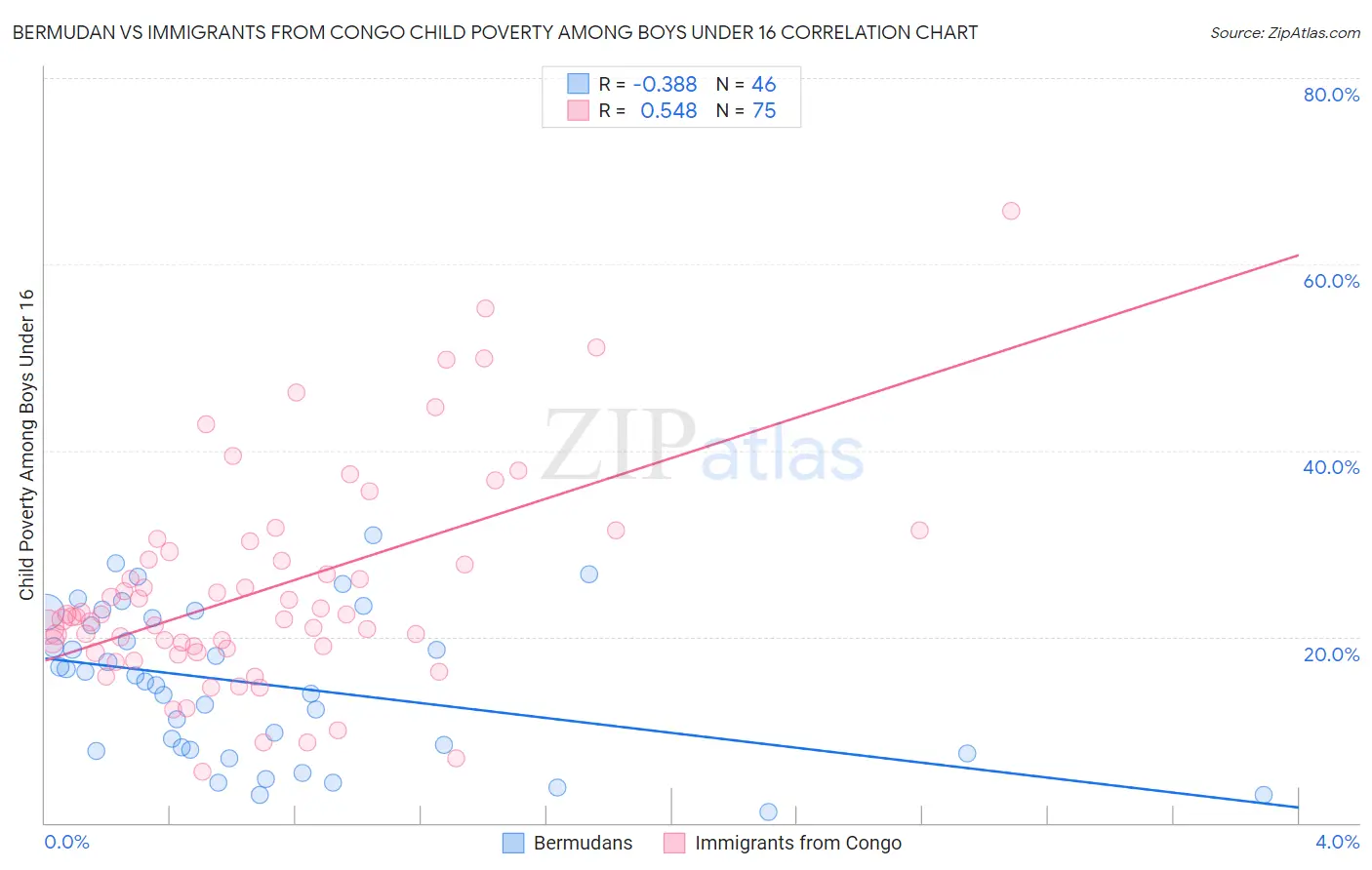 Bermudan vs Immigrants from Congo Child Poverty Among Boys Under 16