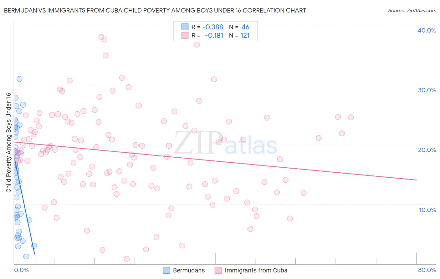 Bermudan vs Immigrants from Cuba Child Poverty Among Boys Under 16