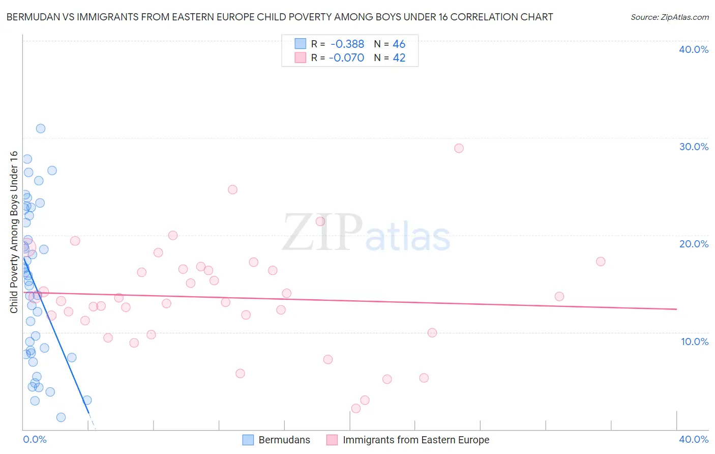 Bermudan vs Immigrants from Eastern Europe Child Poverty Among Boys Under 16