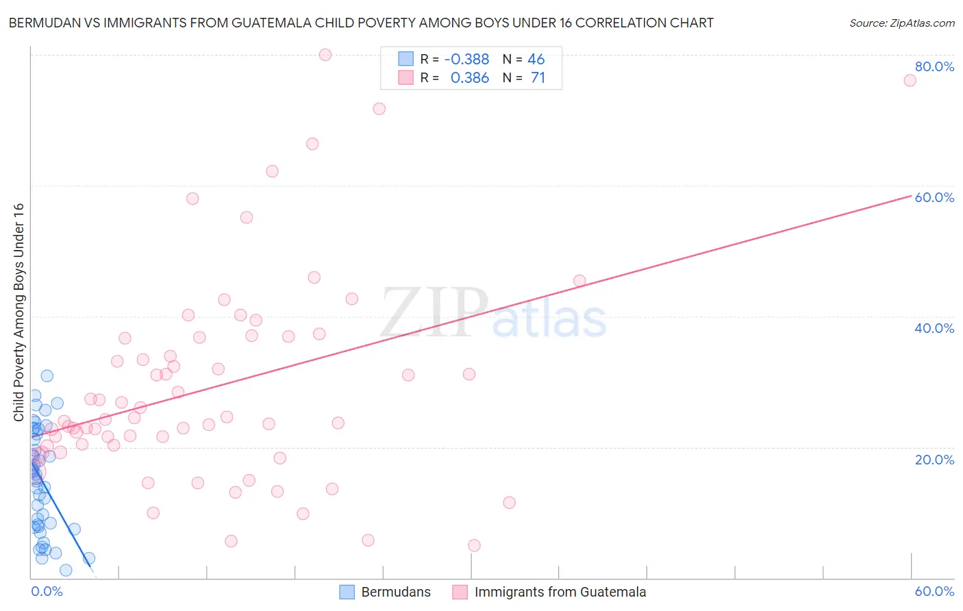 Bermudan vs Immigrants from Guatemala Child Poverty Among Boys Under 16
