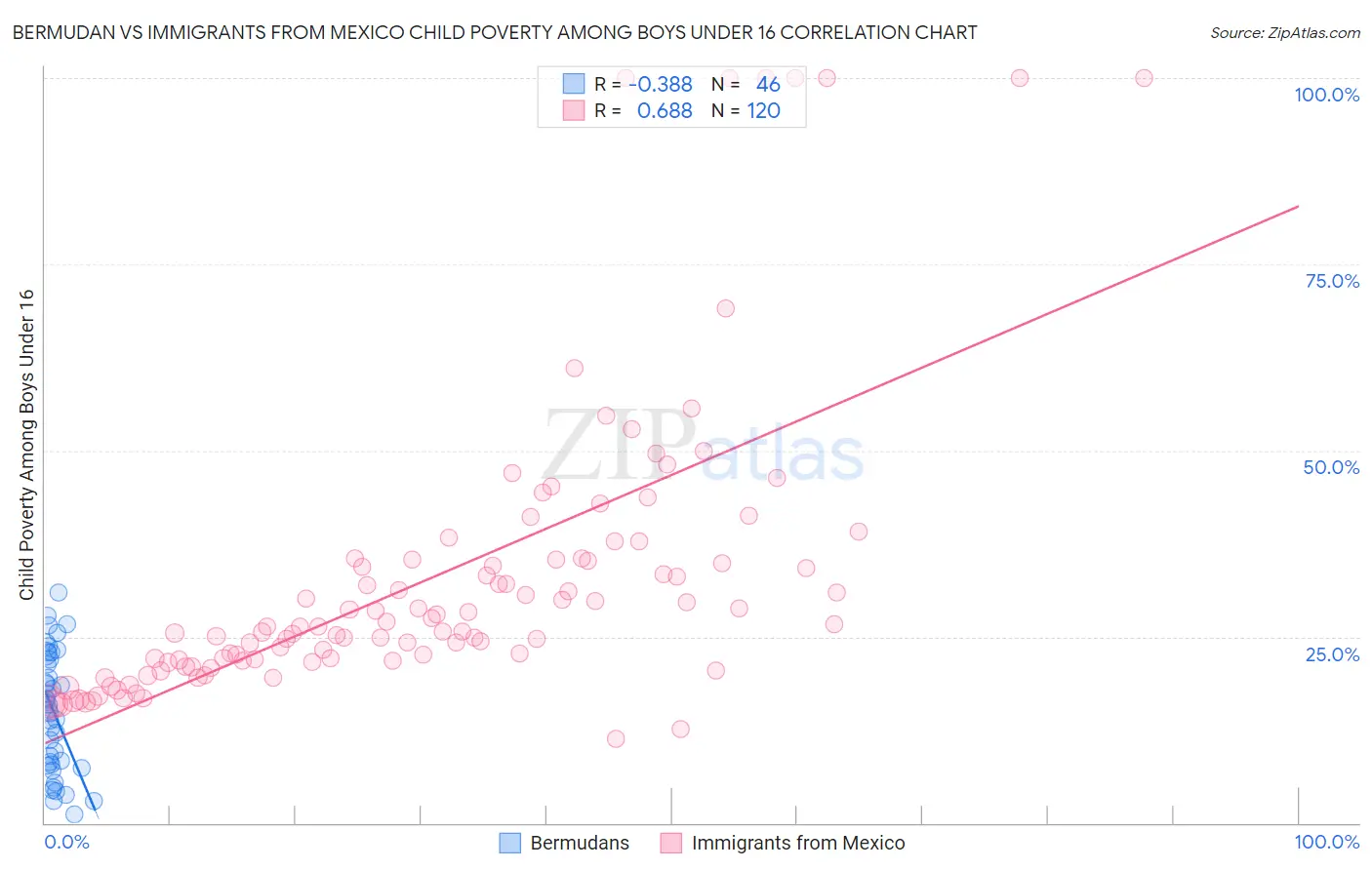 Bermudan vs Immigrants from Mexico Child Poverty Among Boys Under 16