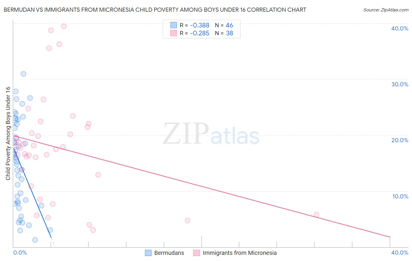 Bermudan vs Immigrants from Micronesia Child Poverty Among Boys Under 16