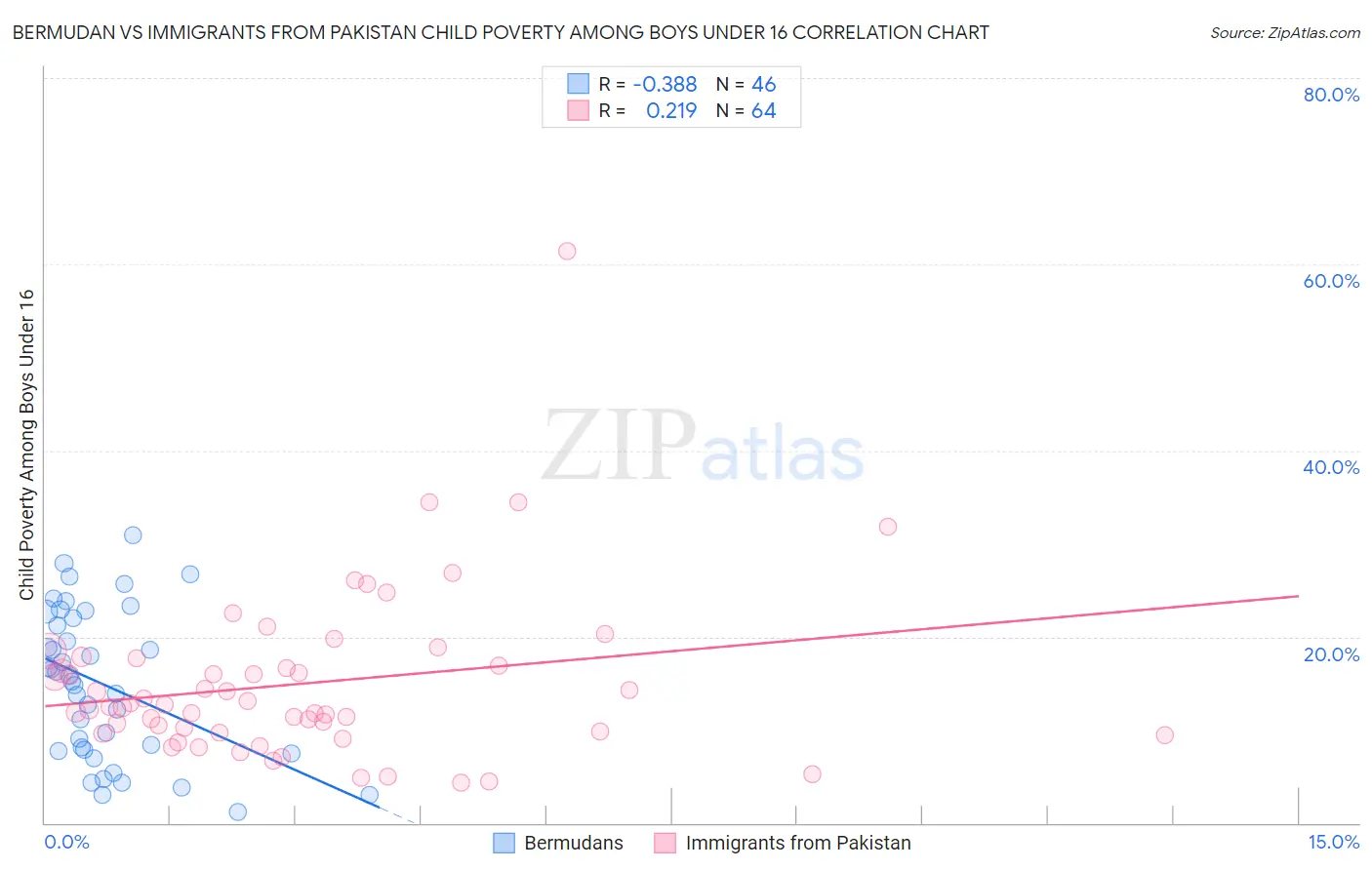 Bermudan vs Immigrants from Pakistan Child Poverty Among Boys Under 16