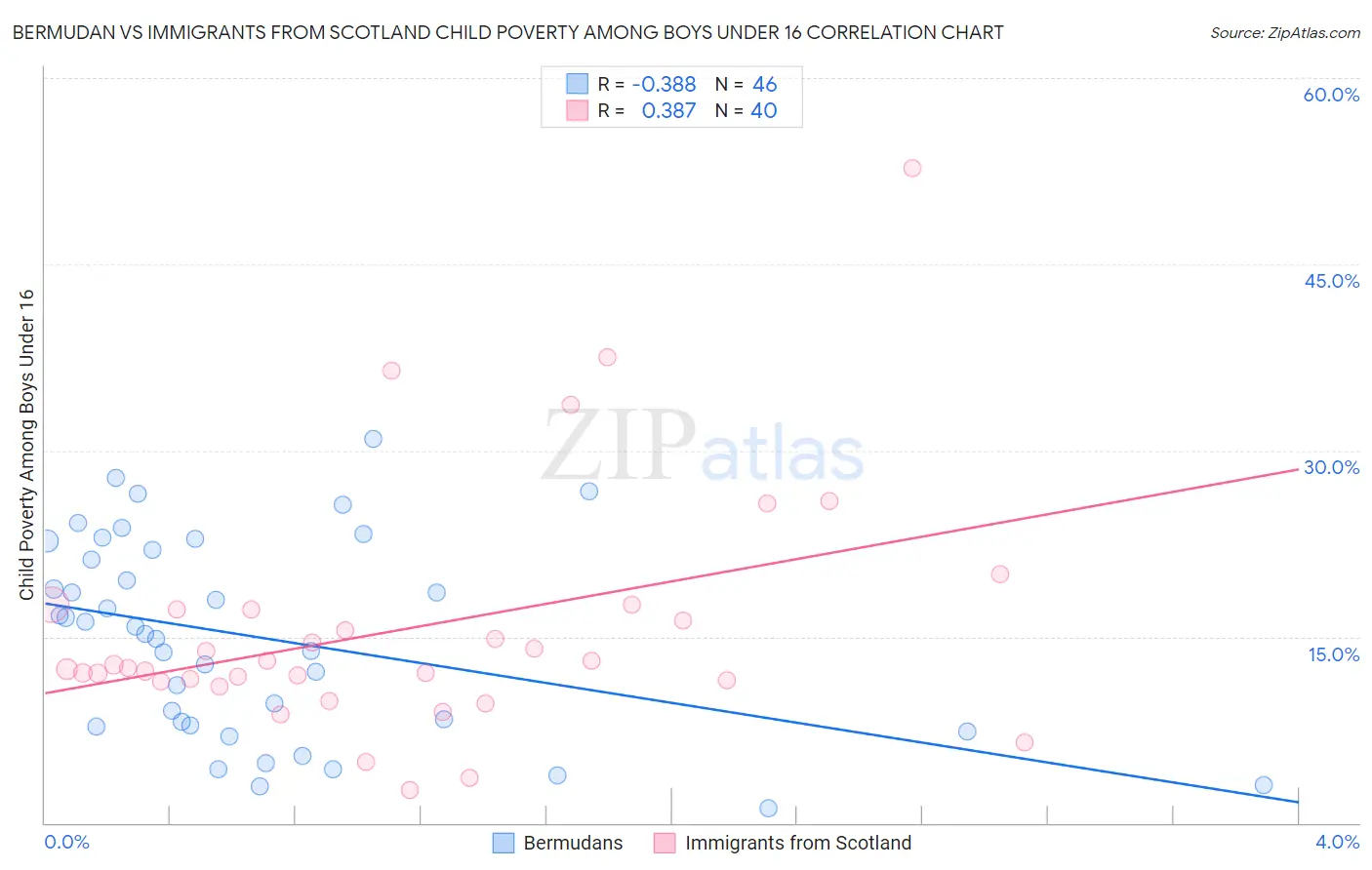 Bermudan vs Immigrants from Scotland Child Poverty Among Boys Under 16