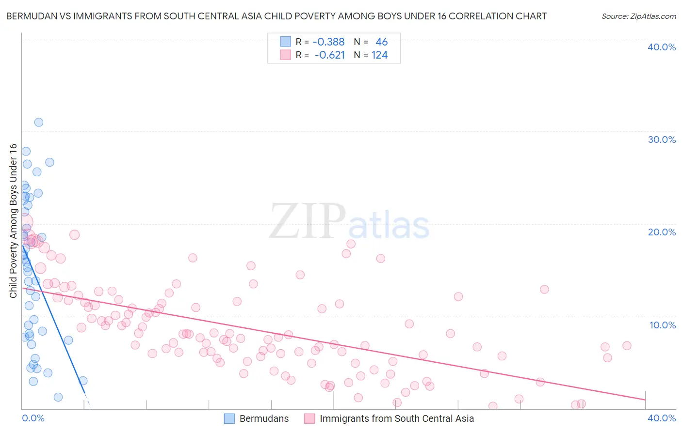 Bermudan vs Immigrants from South Central Asia Child Poverty Among Boys Under 16