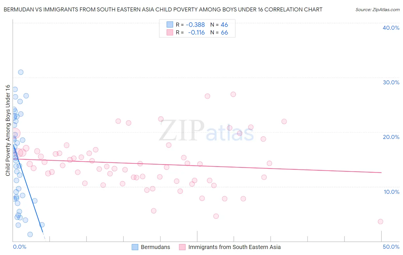 Bermudan vs Immigrants from South Eastern Asia Child Poverty Among Boys Under 16