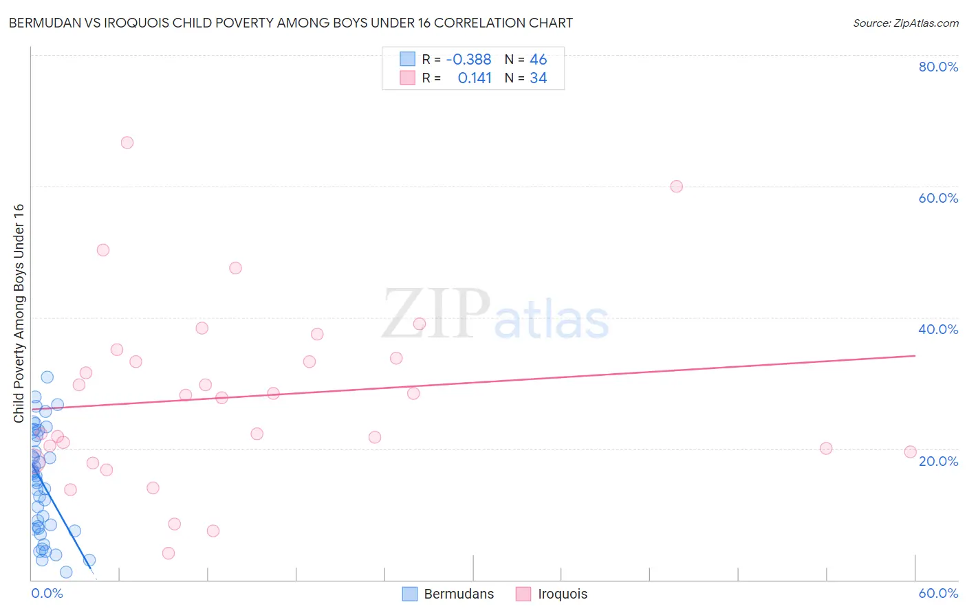 Bermudan vs Iroquois Child Poverty Among Boys Under 16