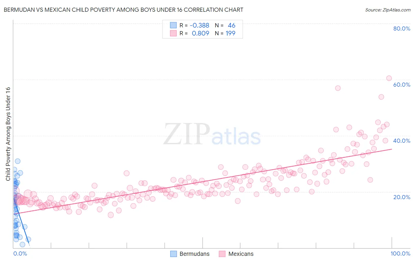 Bermudan vs Mexican Child Poverty Among Boys Under 16